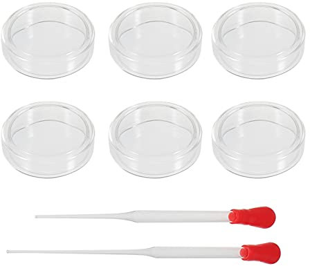 Boîte de Petri 6 Pièces 60mm en Verre pour Laboratoire