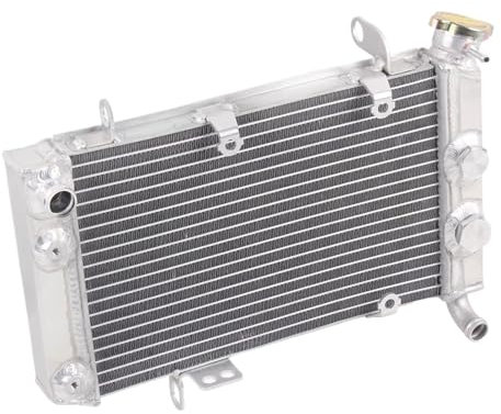 AMXHYVS Compatibile con KFX400 2003 2004 2005 2006 2007 2008 Motocicletta Tutti I Serbatoi del Liquido di Raffreddamento del Radiatore in Alluminio Serbatoi del Liquido Radiatori per Moto