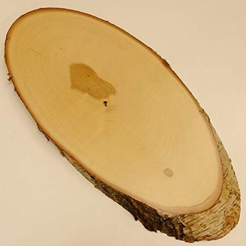 GTK - Geweihe & Trophäen KRUMHOLZ Birke Rothirsch AF 37 cm Hirsch Schild Trophäenschild Geweih Baumscheibe Baumschild Natur Holz modern
