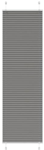 Estor plisado para montaje en pared, color antracita, 55 x 200 cm, ancho de la tela de 54,4 cm, de poliéster, para puerta de balcón, para ventana interior, montaje en techo, estor lateral con sujeción