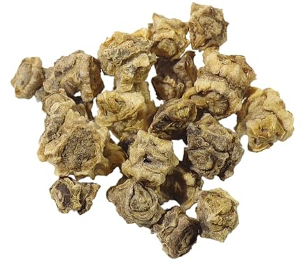 Betterave Fourragère Rossa Mammouth NT - Beta Vulgaris - SEM27 (3 grammes)