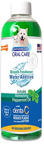 Nylabone Advanced Oral Care Pet Dental Water Additive, Liquid Tartar Remover & Breath Freshener for Dogs, Dog Teeth-Cleaning, Peppermint Flavor, 16 oz.