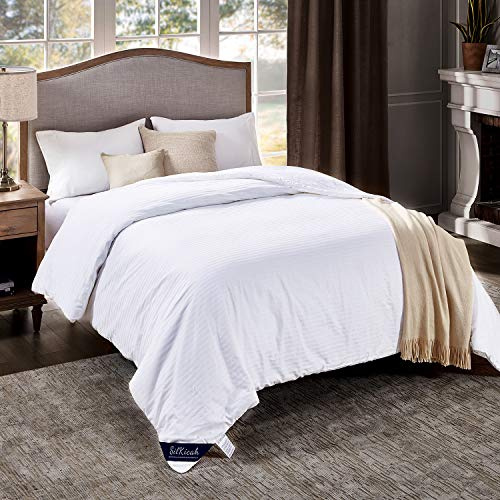 SilKicah Mulberry Silk Comforter Queen Size for All Season, 100% Natural Long Strand Silk Filled Comforter, Pure Silk Quilt Blanket Duvet Breathable Lightweight(86×90)