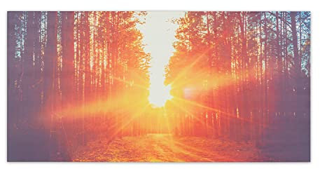 Klarstein Stufa Elettrica Infrarossi Basso Consumo, Pannello Radiante 720 Watt con Telecomando e Timer, Riscaldamento Senza CO2