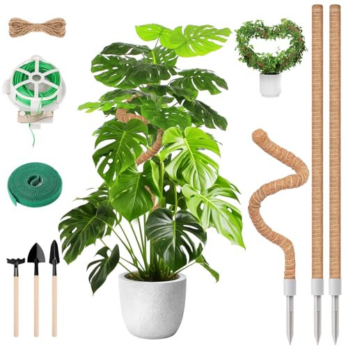 BELICOO Monstera Rankhilfe 3 Stück, 120cm & 60cm Moosstab mit Zubehör, Biegsame Handgefertigte Kokosstab, Pflanzenstab Pflanzenstütze für Indoor Pflanzen Zimmerpflanzen
