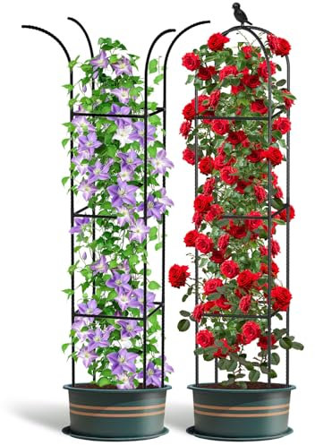 Lot de 2 obélisques de jardin pour plantes grimpantes, support de plantes grimpantes, support de plantes grimpantes en métal étanche, cadre de pois de senteur avec grand espace, treillis de jardin