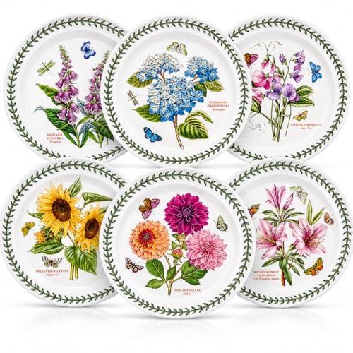 Portmeirion Botanic Garden 25,4 cm Abendessen Teller – Set von 6