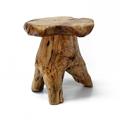 WELLAND Natural Cedar Stump Stool, 14 End Table, Live Edge Side Table, Plant Stand, Small Nightstand, Mushroom Stool for Living Room, Bedroom, Patio, Garden