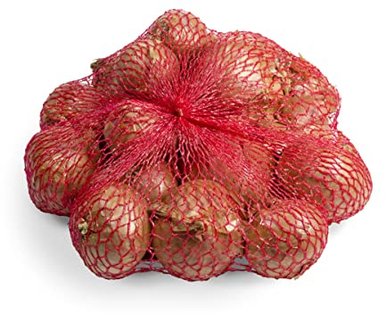 Chrestensen Pflanzschalotten Red Sun 500g Steckzwiebeln Allium cepa Rot