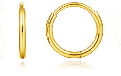 Limerencia Titanium Hoop Earrings for Women,G23 Implant Grade Pure Titanium