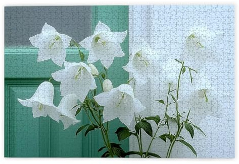 Pussel 3 000 delar, klockblomma pussel 3 000 bitar vuxna, träpussel vuxna, ett utmanande pussel, pusselspel för hela familjen, träpussel för dekoration vardagsrum, presenter, Y-78
