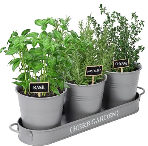 PERFNIQUE Jardín de Hierbas para Interiores, Maceta de jardín de Hierbas para Interiores y Exteriores, macetas de Granja, jardín de Hierbas para alféizar de Ventana con Bandeja (Solo Maceta) macetas