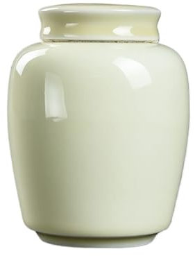 Lot de boîtes à thé pour cuisine – Bocal de rangement scellé pour thé en vrac, assaisonnements et biscuits – Petit pot vide pour l'organisation