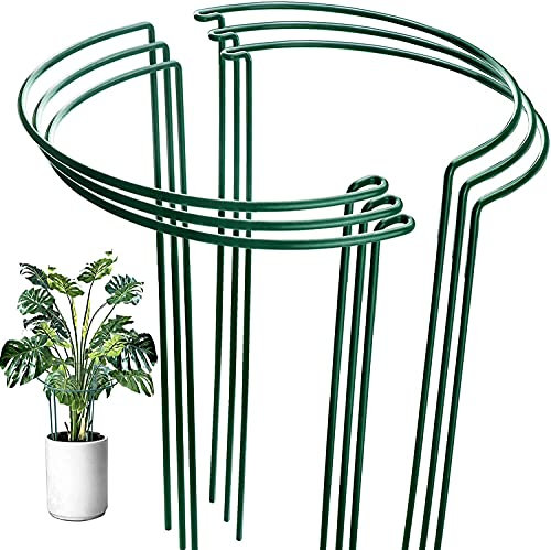 OAHAO 6 Pack Plant Support Stakes Ring Cage,Metal Half Round Plant Ring 21×35cm Large Peony Cages and Supports for Outdoor Plants, Tomato,Vegetable, Hydrangea,Rose,Flowers Vine