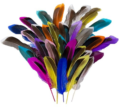 Feathers for Crafting, 100PCS Feathers Colourful Feather Natural Craft Feathers Fluffy Feather for Decoration Hats Mask DIY Earring Wedding Dreamcatcher