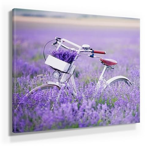 Fahrrad als Leinwandbild, 80x80cm groß und 9 weitere wunderschöne Lavendel Bilder als Wandbild in 7 Formaten. Ideal als Dekobild für alle Zimmer. Fertig aufgespannt auf Holzrahmen