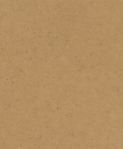 Rasch Tapeten 520897 - Braune Vliestapete mit Betonoptik aus der Kollektion Concrete - 10,05m x 0,53m (LxB)
