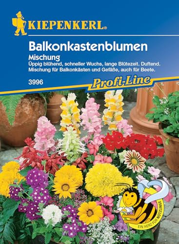 Kiepenkerl Profi-Line Blumensamen-Mischung Balkonkastenblumen 3996 - Schneller Wuchs - Üppig Blühend - Lange Blütezeit - Blumenmischung, Saatgut