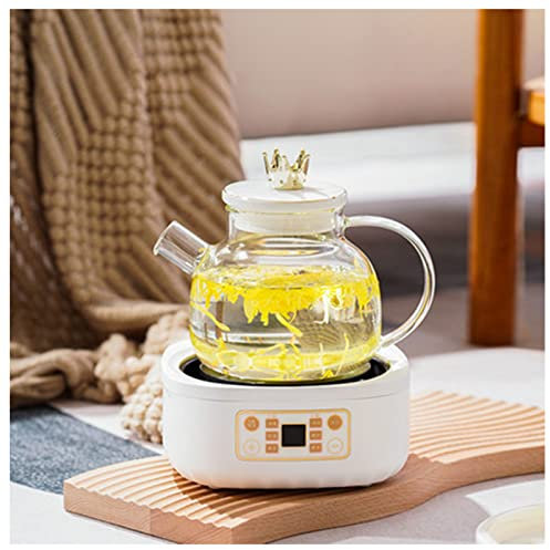 Bouilloire électrique entièrement transparente en verre, distributeur d'eau chaude avec filtre, mini petite théière à café bouillante, chauffage silencieux à deux étages, maison, cuisine, bureau,