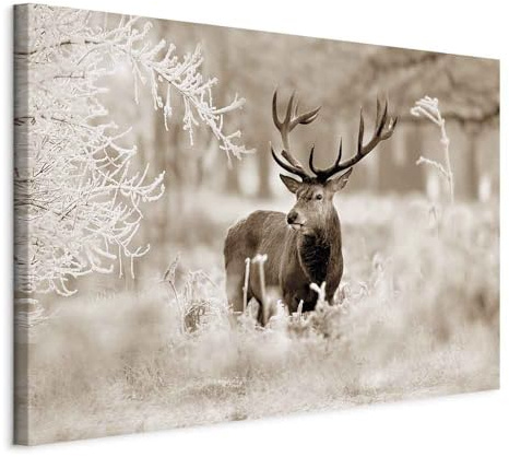 murando - Leinwandbild Natur Tier Landschaft, 90x60 cm, 1-teilig, modern | Hochwertige Leinwand, sofort aufhängbar, ideal fürs Wohn- oder Schlafzimmer, wasserfest und lichtecht, langlebig, stilvoll