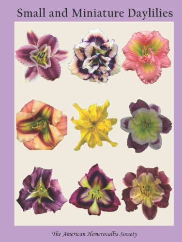 Small and Miniature Daylilies