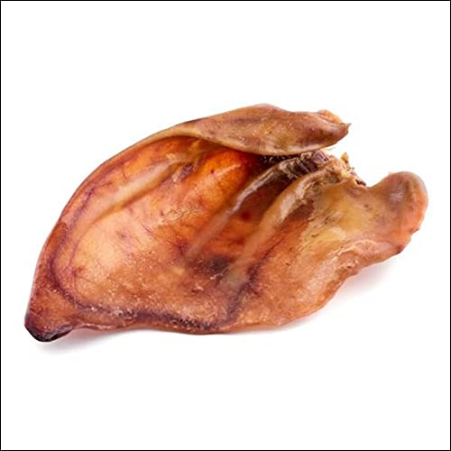 Dried Dog Treats (10pcs) XXL Pork Pig Ears - 100% Natural Pork Treats for Dogs, Large Pig Ears
