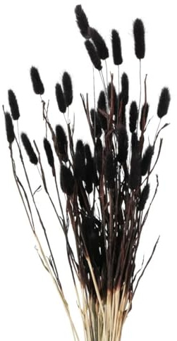 Boltze Home Deko-Zweige für Vase, getrocknet, 70 cm, Farbe:schwarz