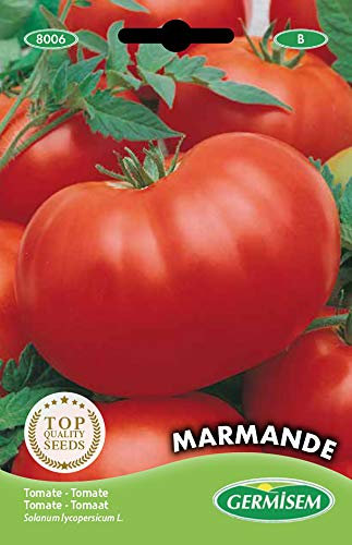 Germisem Marmande Semi di Pomodoro 2 g