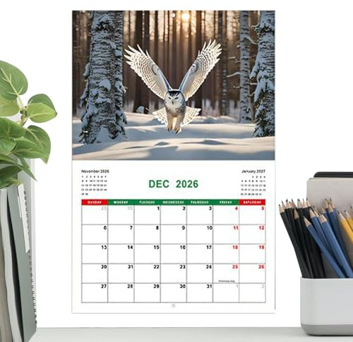 Eulenkalender 2026 - Monatskalender Eulen, Tiermotiv, Januar - Dezember 2026, Planer für Schule zu Hause und Arbeitsplatz für Planung und Programmierung