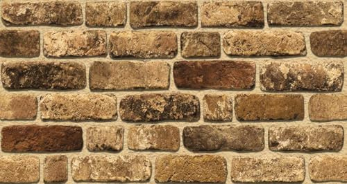Wandverkleidung Steinoptik | 100 × 50 cm | 3D Wandpaneele Backstein Barock Klinker | EPS Styropor Verblender | Für Innenbereich | Wärmedämmend & Schalldämmend | Rustikal Braun/Beige | L1901