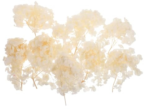 STOBAZA Pétales Hortensia Séchés Décoratifs Pétales de Fleurs Séchées pour Centre de Table Décoration Hortensia Stabilisés pour Compositions