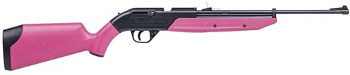 Crosman 760P Pump Master .177-Caliber Pellet/BB Air Rifle