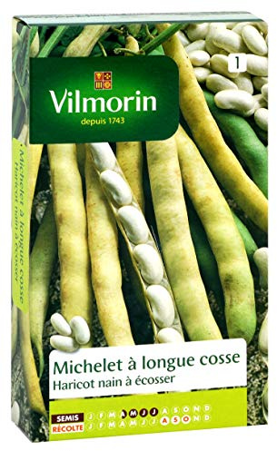 Vilmorin 1161351 Pack de Graines Haricot Michelet à Longue Cosse