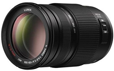 Panasonic H-FS100300E Obiettivo Intercambiabile, 100-300 mm, Nero