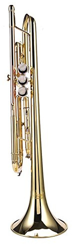 Dilwe Trompete, professionelle Messing Bb Flache Trompete Kit mit Mundstück Riemen Reinigungsset Tasche(Gold)