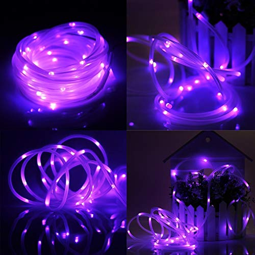 XUNATA LED Solar Lichterschlauch 10M 100 LEDs Lichter IP65 Wasserdicht Schlauchlicht Lichtschlauch für Garten, Weihnachten, Hochzeit, Party (Lila, 10m (100LEDs) + 2m lead cable)