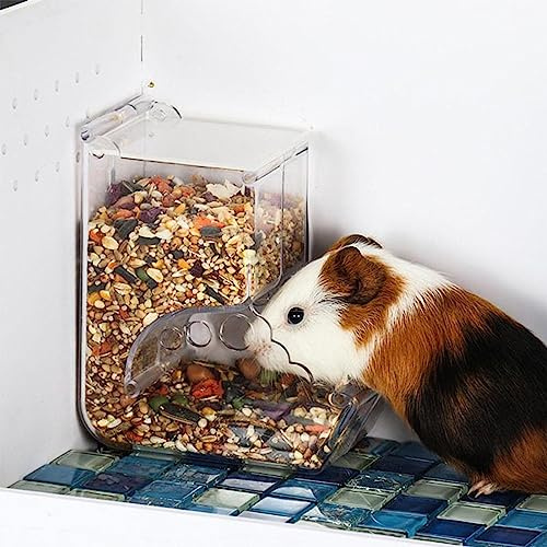 Mangiatoia per criceti, dispenser automatico per piccoli animali, palline per animali domestici, ciotola per alimenti – criceto nano Gerbilli topi riccio porcellino d'India e altri piccoli animali