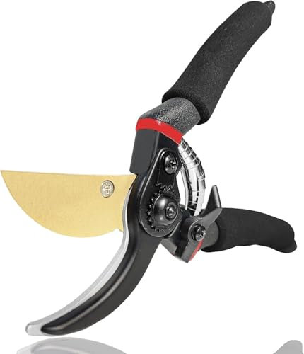2 Pièces Sécateur de Jardin Lame franche en Acier et Titane(GPPS-1003), 25,4 cm, Sécateur de Jardin, Sécateur de Bypass Confortable en Acier SK5 – Ciseaux à Roses et Outil pour Bonsaï de Qualité