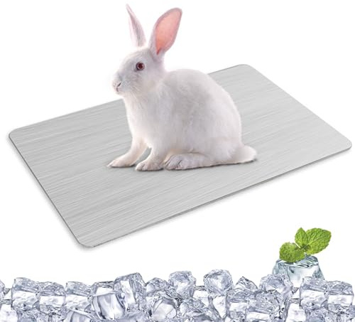 Tappetino Refrigerante per Coniglio,Tappetino di Raffreddamento per Criceti,Letto Estivo di Ghiaccio per Animali Domestici,Cuscinetto di Raffreddamento in Lega di Alluminio 30x20cm Tokaneit