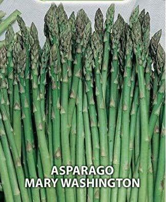 Semi Sementi Asparago Mary Washington Ortaggi Vegetali