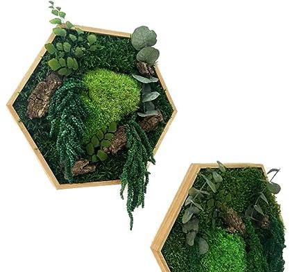 Moos-Hexagon Urban Jungle mit Farn Eukalyptus geölter Rahmen secheckige Mooswabe mit konserviertem Moos Moosbild (groß 31 cm)