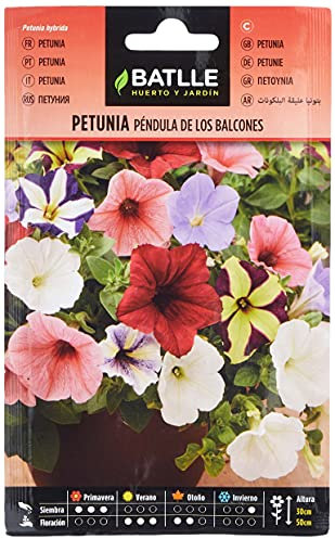 Semi di Fiori – Petunia Pendula dei Balconi – Batlle