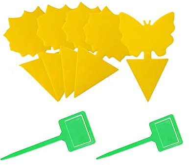 50PCs Sticky Trap, Fruit Fly and Gnat Trap Yellow Sticky Bug Traps for Insect Catcher for White Flies, Mosquitos, Fungus Gnats Mosquitoes, Houseplant, Garden