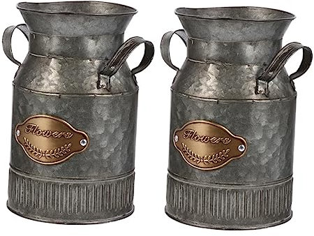 Garneck 2pièces Vase à Fleurs Séchées Fer Antique Porte-Fleurs Original Pot à Bonsaï Décor pour Maison Ou Bureau