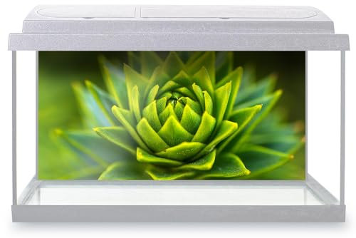 Aquarium Fish Tank Background 90x45 cm - Monkey Puzzle Pine Tree Static Cling Vinyl Vivarium Terrarium External Application #51476