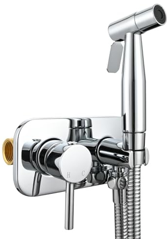 Tecmolog Unterputz Bidet Handbrause Set Komplettset Edelstahl mit Dusche und Halter, Schlauch, Warmes und Kaltes Wasser, Chrom, WS024DF1