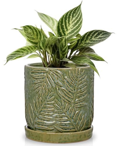 Arborus 14 cm Pflanzgefäße Keramik Blumentopf mit Untersetzer Grün Übertopf | für Zimmerpflanzen Monstera Sukkulenten Pflanzentopf Pflanzkübel Selbstbewässernd Balkon Fensterbank Tisch Deko Garten