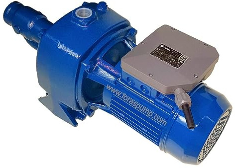 FORAS Bomba centrífuga eléctrica autocebante JA200, fabricada en Italia, funcionamiento continuo, 230 V, 2,22 kW, máx. 90 L/min, 62,5 m