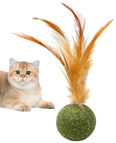 Sghtil Balles d' à Chat pour Chat, Jouet à mâcher avec Queue – Balle énergétique pour Soins dentaires, Exercice, Chasse Contre l'ennui, Stimulation mentale et Jeu intérieur et extérieur