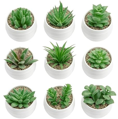 XNFUOE 9 Pcs Artificial Succulents Plants Fake Green Plant in Round White Pots Plastic Material Decorations Faux Mini Greenery Ornament Office for Bathroom Desk Home Garden Decor